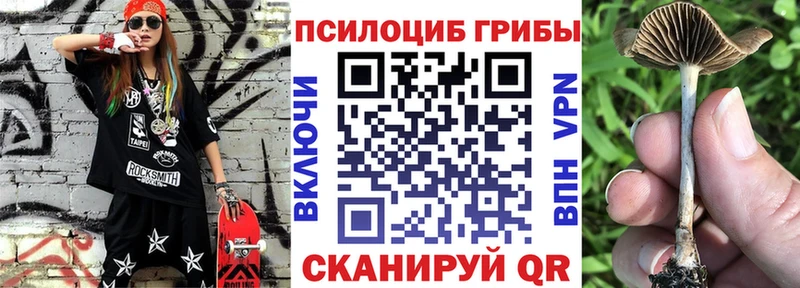 Псилоцибиновые грибы мухоморы  mega ONION  Псков  закладка 